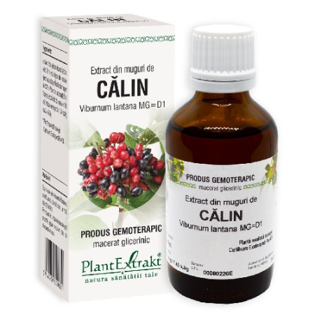 Ingrijire personala - Extract Din Muguri Calin 50ml Plantextrakt