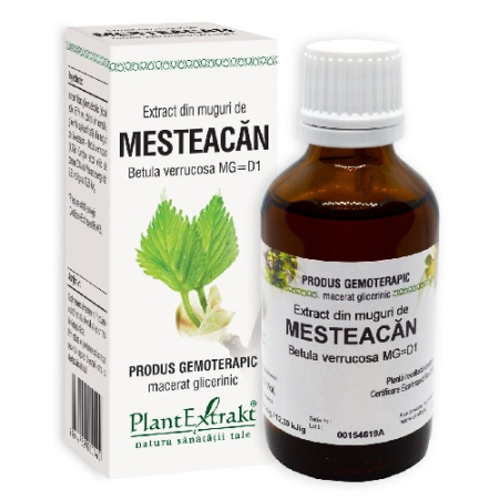 Imunitate - Extract din Muguri de Mesteacan 50ml Plantextrakt