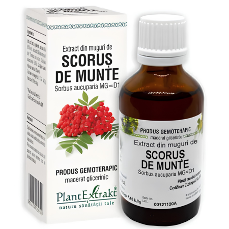 Tincturi - Extract Din Muguri De Scorus de Munte 50ml  Plantextrakt