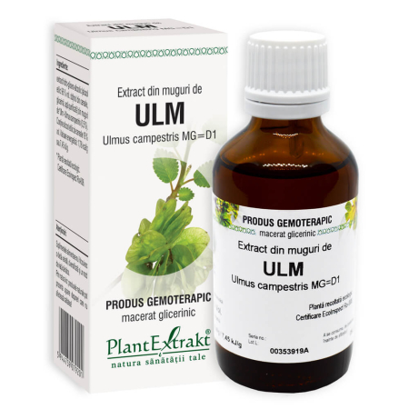 Slabire, dieta, frumusete - Extract din Muguri de Ulm Plantextrakt