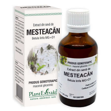 Imunitate - Extract din Seva de Mesteacan 50ml Plantextrakt