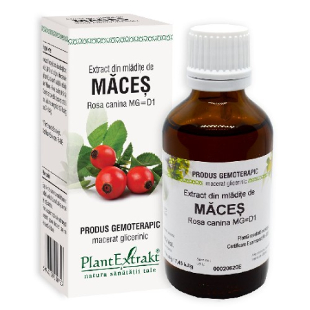 Extract Maces 50ml Plantextrakt [1]