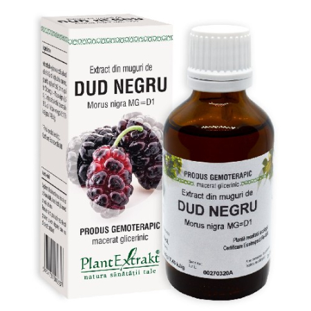 Diabet - Extract Mug Dud Negru, 50ml, Plantextrakt