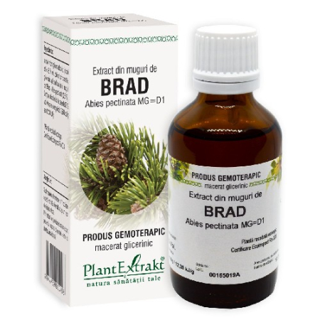 Extract Muguri De Brad 50ml Plantextrakt [0]