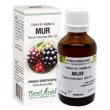 Gemoderivate - Extract Mur 50ml Plantextract