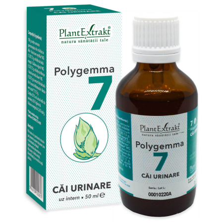 Antiinflamator - Polygemma 7 -Cai Urinare- 50ml Plantextrakt