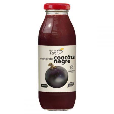 Sucuri - SGR-Nectar de Coacaz Negru 300ml Dacia Plant