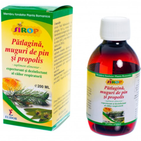 Dulciuri, patiserii - Sirop Patlagina Muguri de Pin Propolis 200ml Elidor