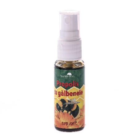 Antiinflamator - Spray Propolis cu Galbenele 25ml Transvital