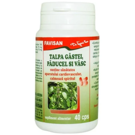 Cardiovasculare - Talpa Gastei cu Vasc si Paducel 40cps Favisan