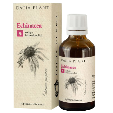 Tincturi - Tinctura de Echinaceea cu Alcool 50ml Dacia Plant