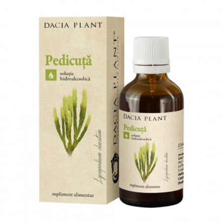 Tincturi - Tinctura Pedicuta 50ml Dacia Plant