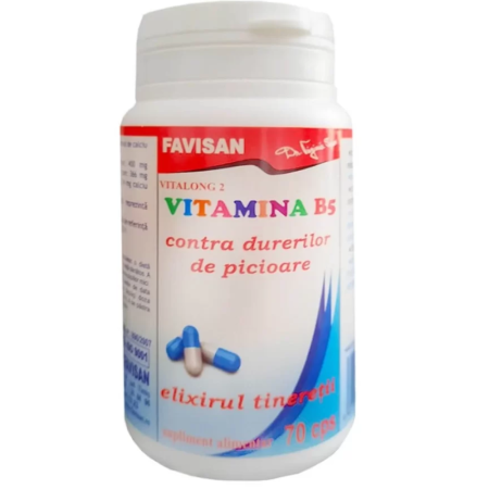 Vitamine si minerale - Vitamina B5 70cps Favisan