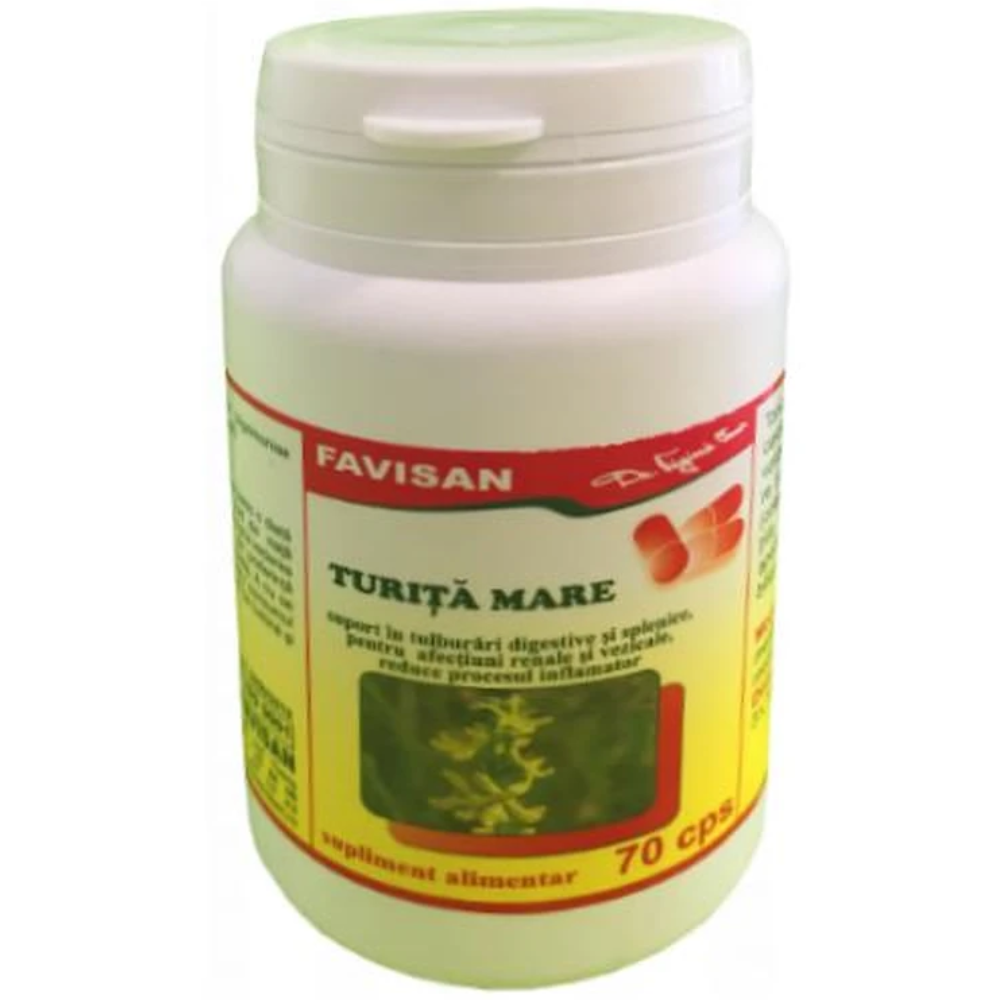 Digestie - Turita Mare 70cps Favisan