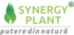 logo synergy plant