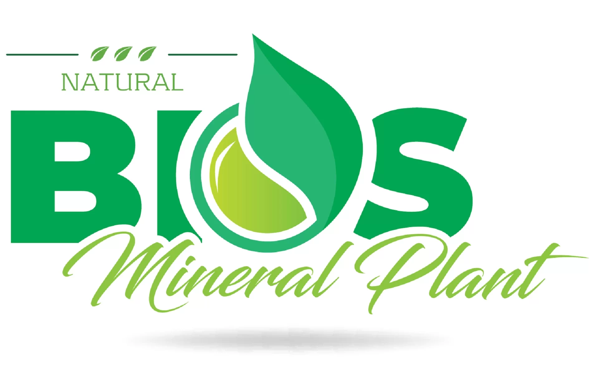 BIOS Mineral Plant BIOS Mineral Plant