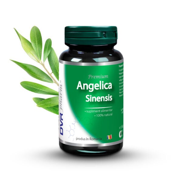 Angelica Sinensis, DVR Pharm [1]
