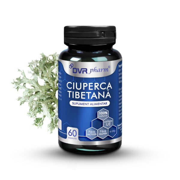 Ciuperca tibetana 60 capsule, DVR Pharm [1]
