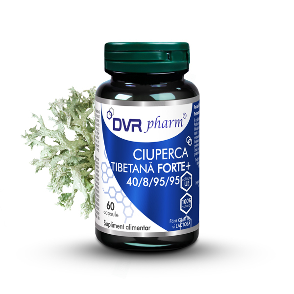 Ciuperca Tibetana Forte +40/8/95/95, DVR Pharm [1]