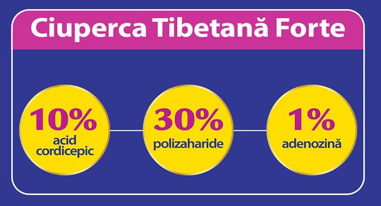 Cordyceps 10/30/1 Ciuperca tibetana forte, Herbagetica [2]
