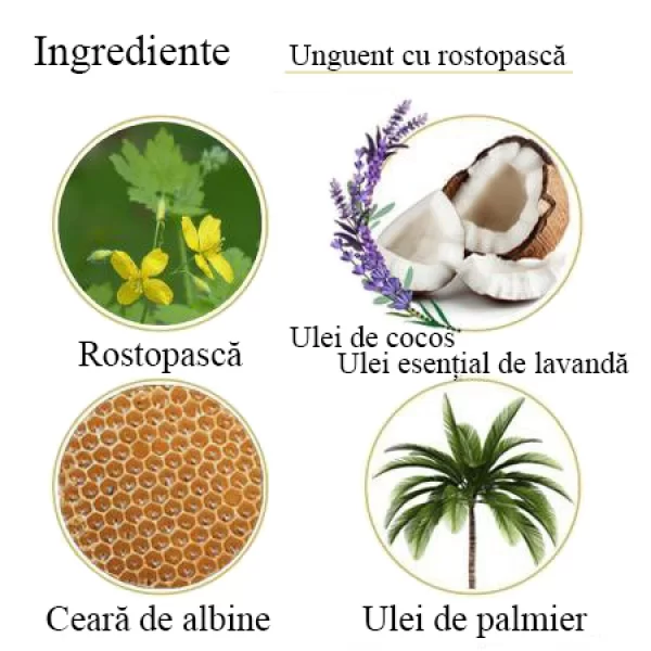 Unguent cu rostopască, 100% natural, 45ml, BIOS Mineral Plant [2]