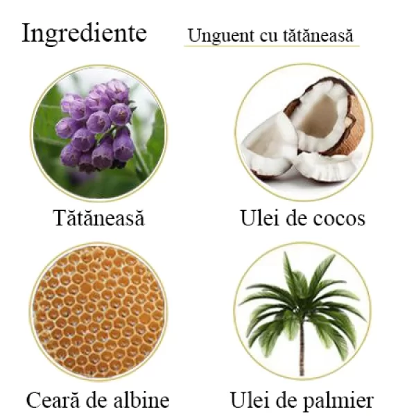 Unguent cu tătăneasă 100% natural, 45ml, BIOS Mineral Plant [2]