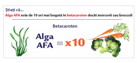 AFA STEM, Herbagetica [2]