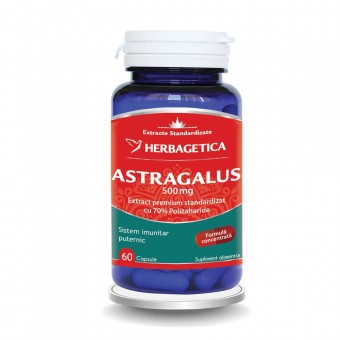 Articulații sănătoase, mobilitate și flexibilitate - Astragalus 500mg, Herbagetica