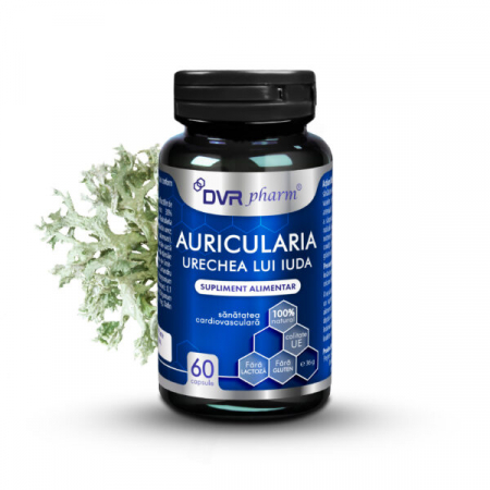 Ciuperci terapeutice - Auricularia - Urechea lui Iuda, DVR Pharm