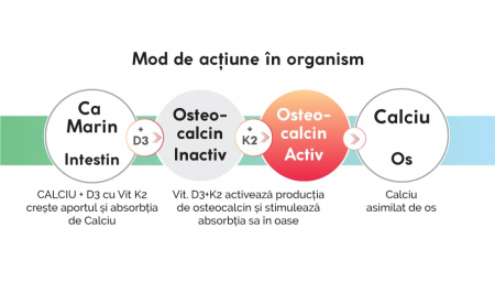 Calciu+ D3+ vit K2, Herbagetica [1]