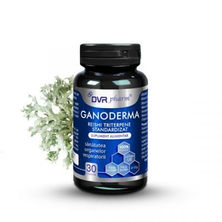 Sistem respirator - Ganoderma - Reishi triterpene standardizat, DVR Pharm