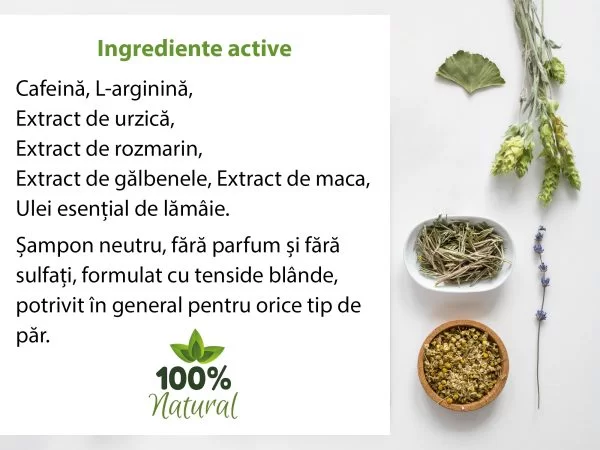 Șampon tratament împotriva căderii părului Clear and Healthy, 200ml, BIOS Mineral Plant [2]