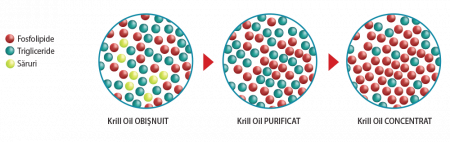 Supreme Krill, Herbagetica [1]
