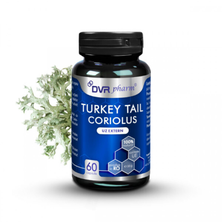Ciuperci terapeutice - Turkey Tail Coriolus 60 capsule, DVR Pharm
