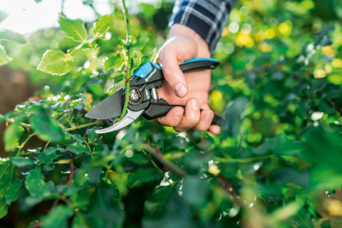 Foarfeca gradina bypass Cellfast ERGO [1]