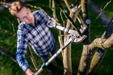 Foarfeca pomicultura silvicultura Cellfast brate telescopice nicovala IDEAL [2]