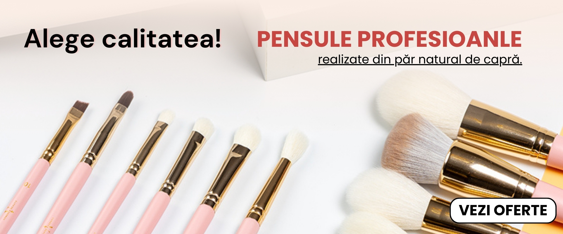 pensule profesionale