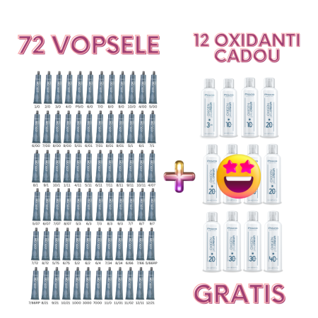 Vopsea de par cu amoniac profesionala - Set 72 vopsele profesionale PRO.COLOR + 12 oxidanti crema GRATIS