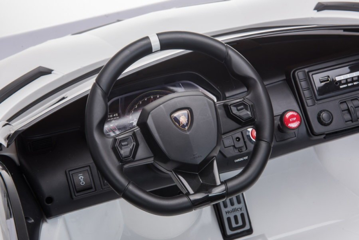 Mașină electrică pentru copii Lamborghini Aventador - Verde [12]