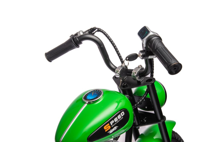 Motocicletă Electrică pentru Copii 36V 350W Verde [12]