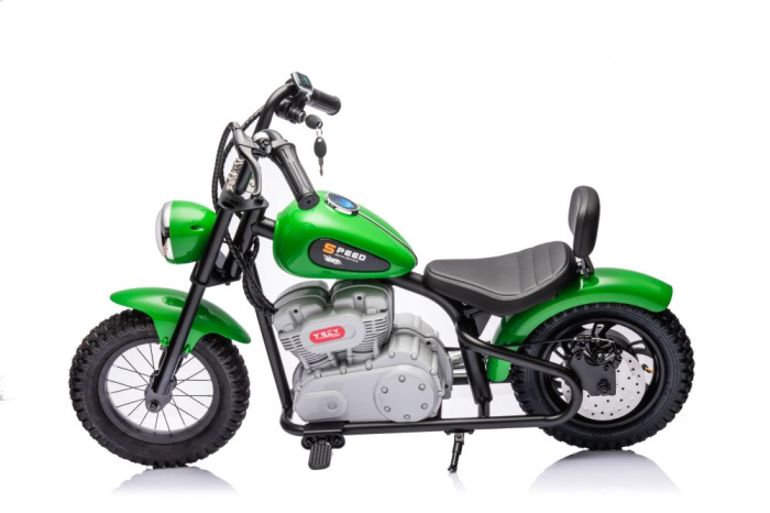 Motocicletă Electrică pentru Copii 36V 350W Verde [8]