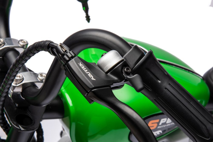 Motocicletă Electrică pentru Copii 36V 350W Verde [17]