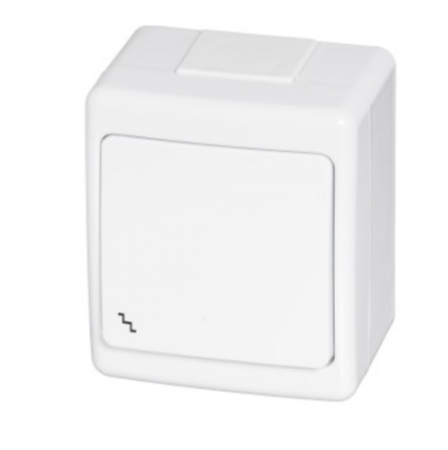 Aparataj de Exterior si Zone Tehnice - Intrerupator cap scara aplicat alb, 16A, 250V, IP44