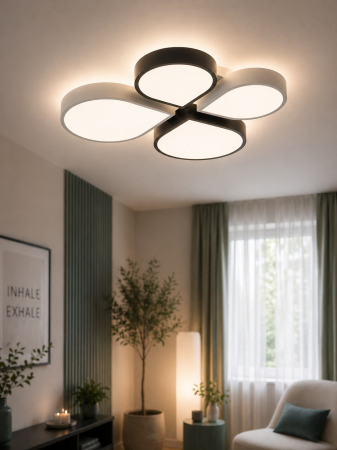 Corpuri de Iluminat Interior - Plafoniera LED 2560lm, 50W, 3000-6000K, alb+negru - Cicek