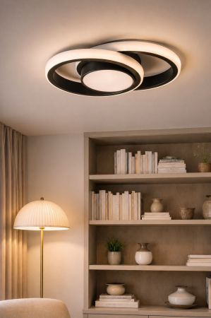 Corpuri de Iluminat Interior - Plafoniera LED 2660lm, 38W, IP20, negru - Vista