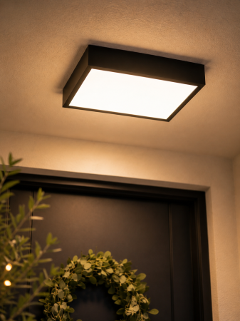 Corpuri de Iluminat Exterior - Plafoniera LED 2760lm, 24W, DIP, CCT, 30cm, IP54 - Ruut