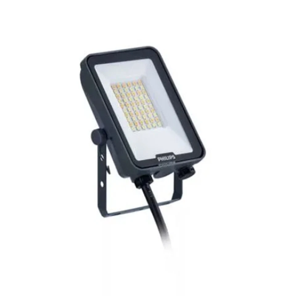 Proiector LED de gradina PHILIPS 10W, 3CCT, IP65 [2]