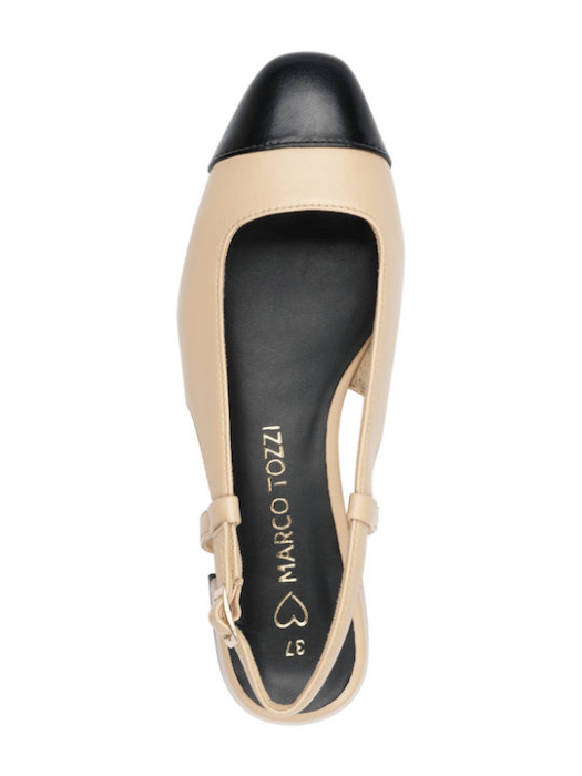 2-29406-44 423 36 BISCUIT COMB MARCO TOZZI W [2]