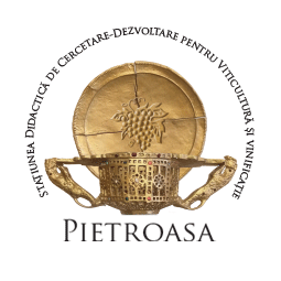 Statiunea Pietroasa
