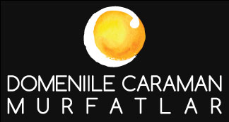 Domeniile Caraman